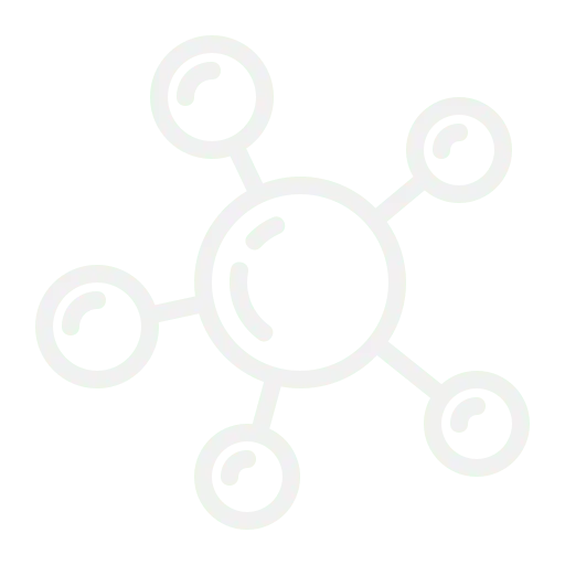 Antioxidant-Rich Formula